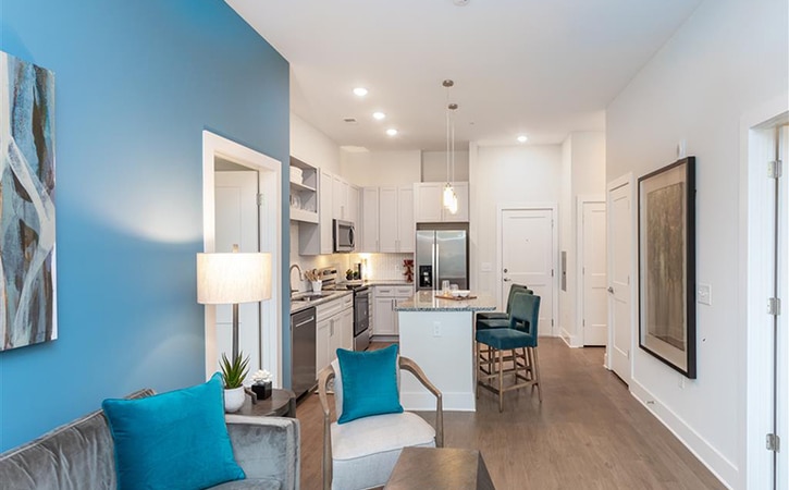 The Edition on Oberlin Raleigh NC Apartment Homes and Townhomes Living Room Expansive 10 Foot Ceilings (1)