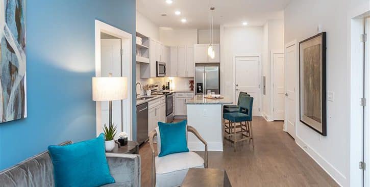The Edition on Oberlin Raleigh NC Apartment Homes and Townhomes Living Room Expansive 10 Foot Ceilings